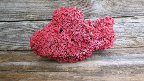 Fabulous Large Red Vintage Coral Display Piece